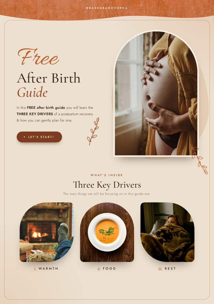 Cover of the free After Birth Guide