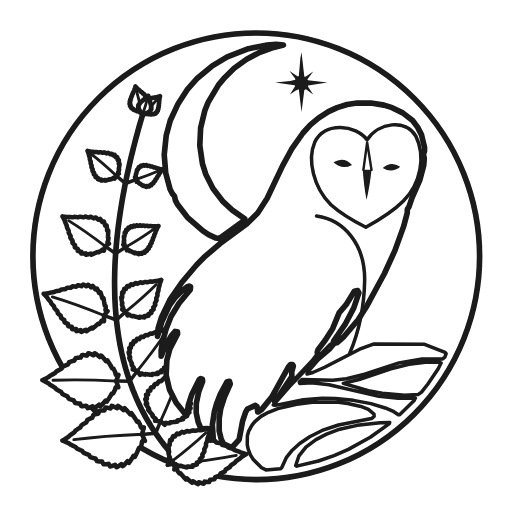 Barbora Hovorka owl logo