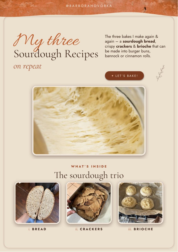 Cover of the free sourdough recipes